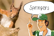 Springers | groep 4-6