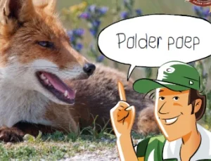Doe-opdrachten Buiten in Nederland