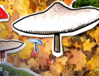 SchoolTV - herfst