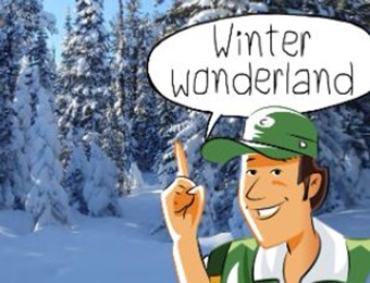 De natuur in winterstand saai? Zeker niet!
